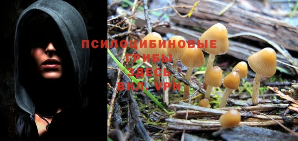 экстази Нея